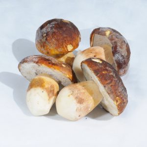 2305-BOLETUS-EDULIS-ENTERO-P-4-7-cm 2305-BOLETUS-EDULIS-ENTERO-P-4-7-cm