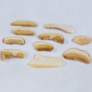 2307-BOLETUS-EDULIS-LAMINA 2307-BOLETUS-EDULIS-LAMINA
