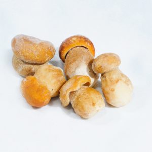 2310-BOLETUS-EDULIS-PP-mini 2310-BOLETUS-EDULIS-PP-mini