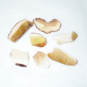 2315-BOLETUS-EDULIS-LAMINILLA 2315-BOLETUS-EDULIS-LAMINILLA