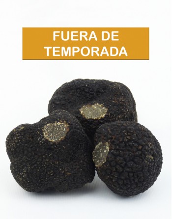 TRUFA NEGRA DE INVIERNO -...