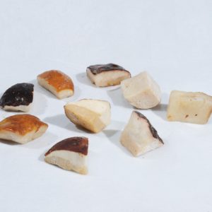 2308-BOLETUS-EDULIS-TROZO-1ªAROTZ 2308-BOLETUS-EDULIS-TROZO-1ªAROTZ