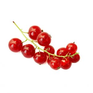 grosella grosella