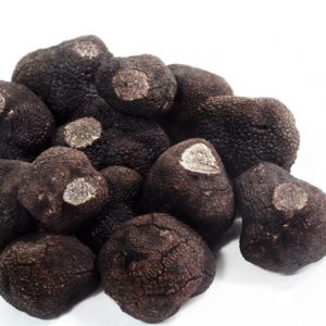 Tuber-melanosporum-fresca-entera-1024x772-600x452 Tuber-melanosporum-fresca-entera-1024x772-600x452