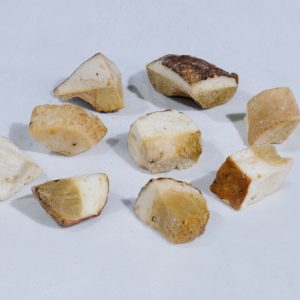 2309-BOLETUS-EDULIS-TROZO-AROTZ 2309-BOLETUS-EDULIS-TROZO-AROTZ