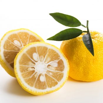 yuzu frutas yuzu frutas