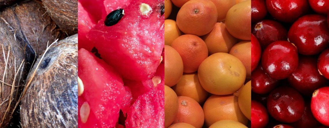Nuevas variedades de purés de frutas congelados Arotz 2021
