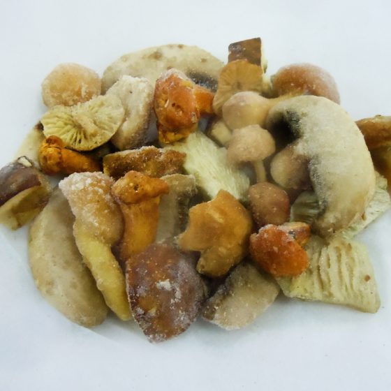 MEZCLA-SETAS-ITALIANA-CONGELADA-560x560