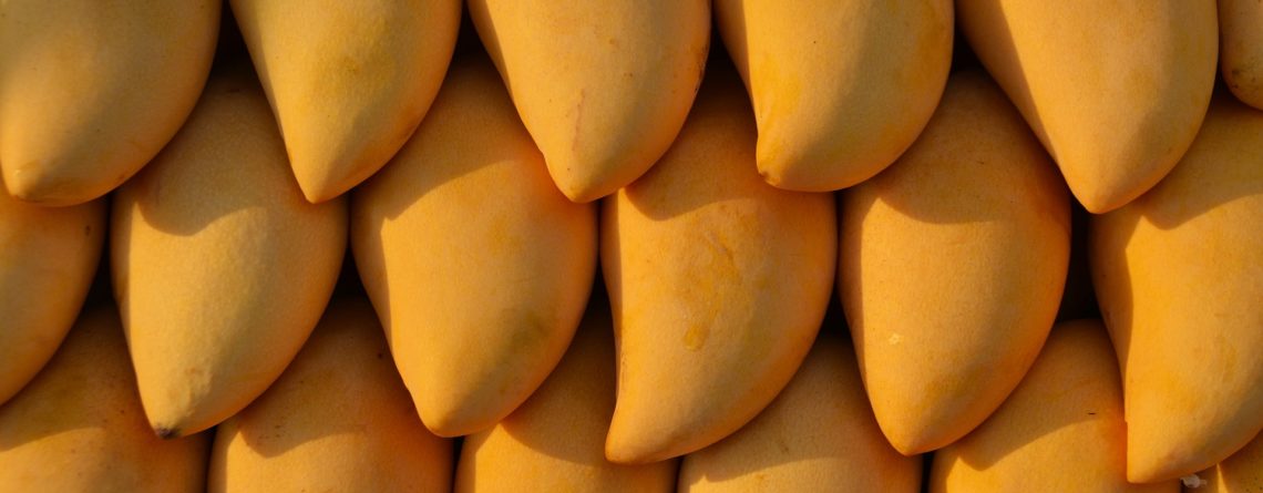 Puré congelado de mango – Mangifera indica