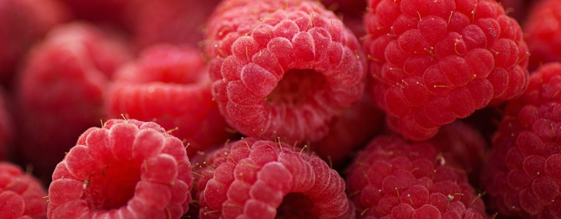 Puré congelado de frambuesa – Rubus idaeus