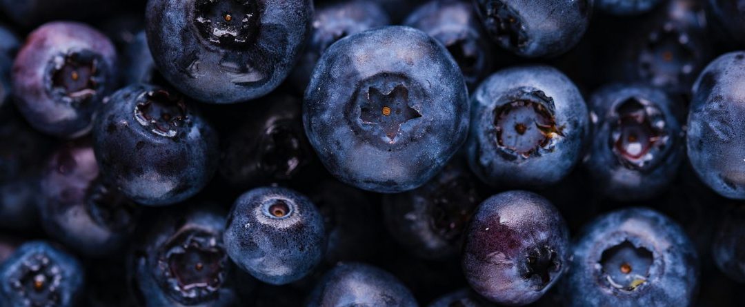 Puré de arándano azul – Vaccinium myrtillus – Vaccinium corymbosum