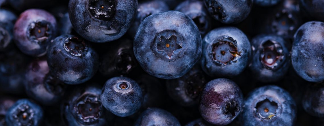 Puré de arándano azul – Vaccinium myrtillus – Vaccinium corymbosum