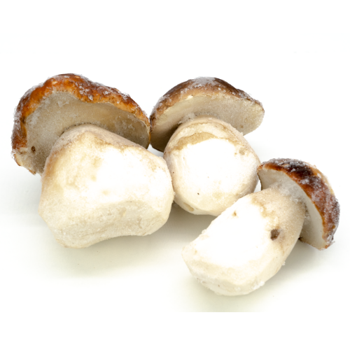 Arotz_Boletus-Setas_Boletus-Entero-extra_Ref2301