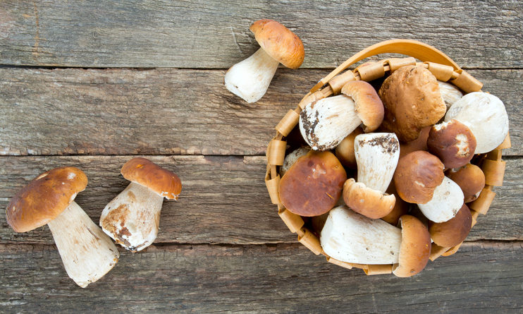 BOLETUS CONFITADO A BAJA TEMPERATURA EN ACEITE DE OLIVA